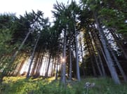 Hike & Fly Vitosha Mountain 6