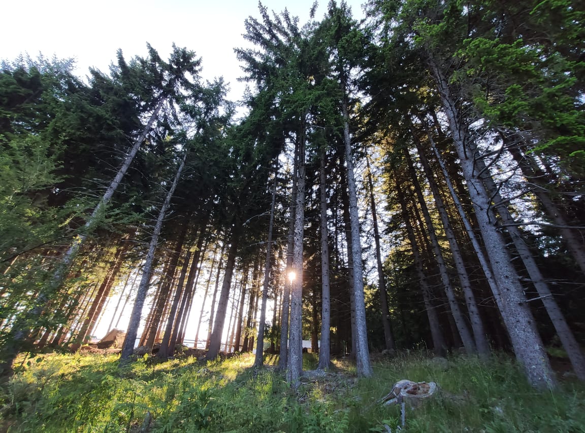 Hike & Fly Vitosha Mountain 6