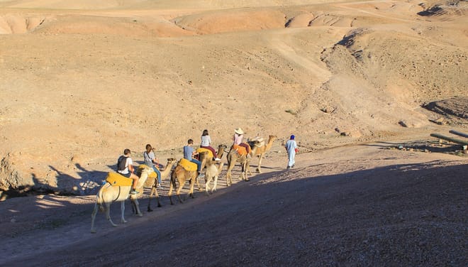 Quad & Camel Ride in Agafay Desert
