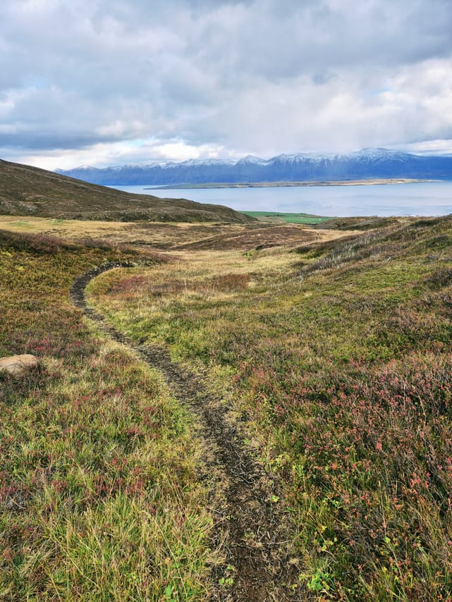 Dalvík Greatest hits Private E-mtb tour 7