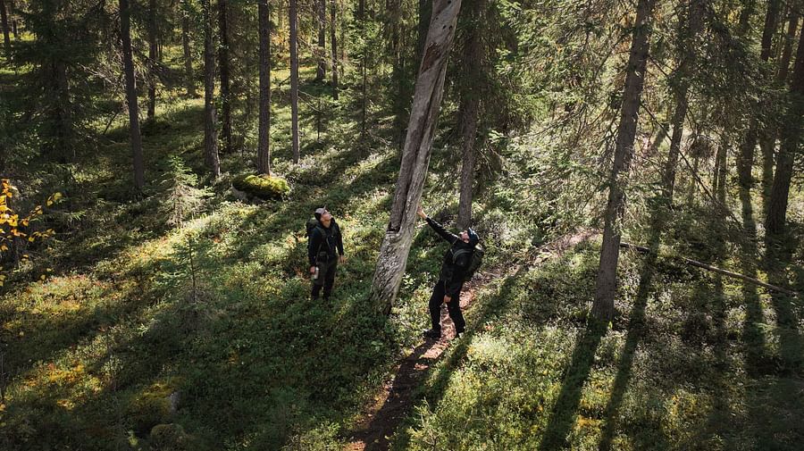 Forest hiking tour, Pure Lapland, Rovaniemi Lapland