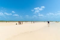 Holbox Island Tour with Pasion Island and Punta Mosquito 2