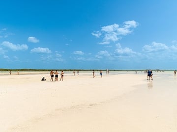 Holbox Island Tour with Pasion Island and Punta Mosquito