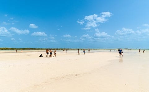 Holbox Island Full-Day Tour with Punta Mosquito