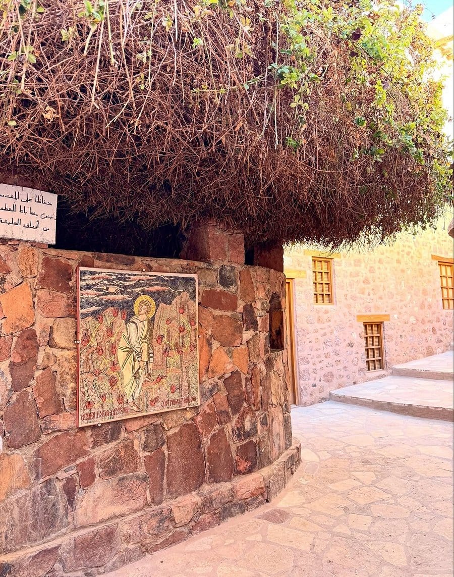 Luxor: Valley of Kings, Hatchepsut Temple ,Karnak & Luxor-DayTour