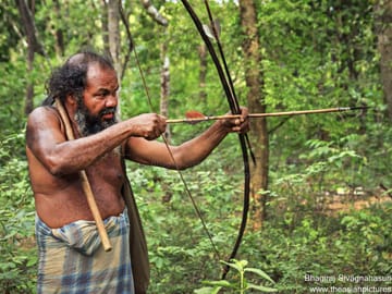 Camping and Cultural Experience in Kandy, Sri Lanka
