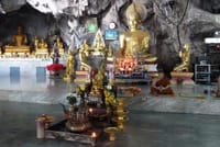 Thailand’s Last Lowland Rainforest – A Hidden Gem Tour 8