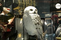 Harry Potter's London Feat. Harry Potter Movie Locations  2