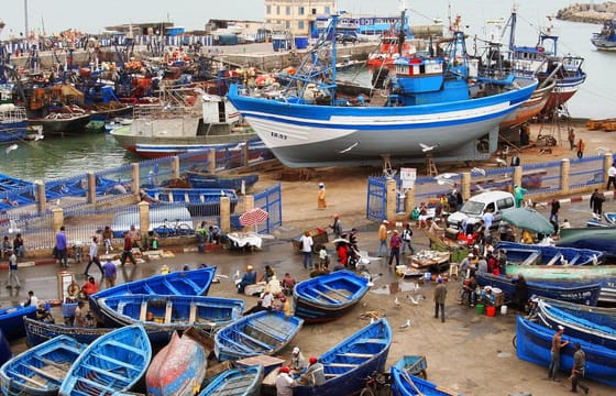 Day Trip from Marrakech to Essaouira with Argan Oil Visit