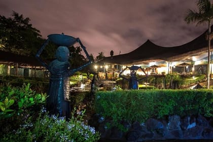 Nairobi Nightlife and Safaripark Hotel Cat Dance Dinner