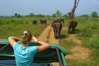 Glamourous Sri Lanka 7 Days Tour