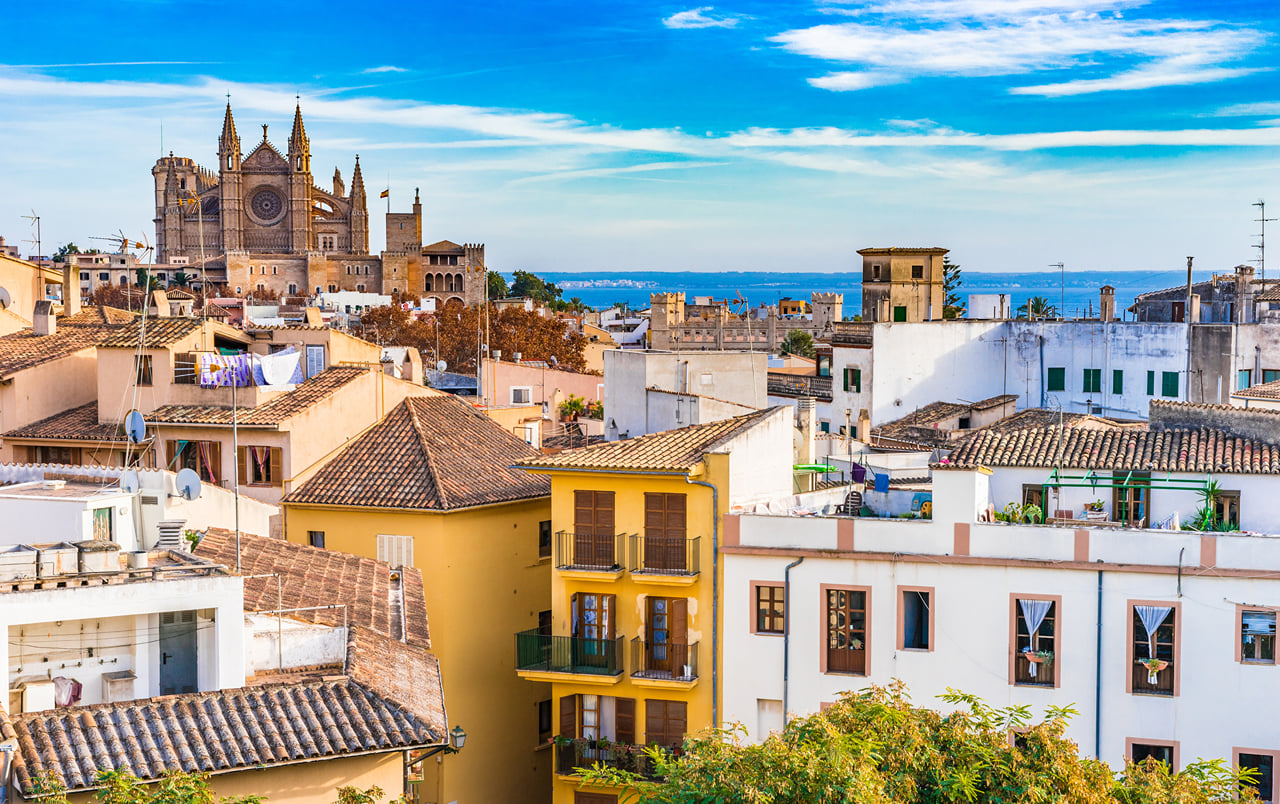 Palma de Mallorca in 1 Day - Walking Tour - Audioguide in 7 languages 8