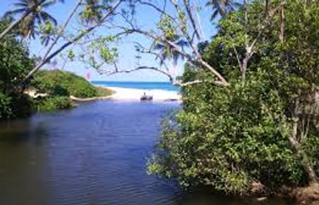 CEYLON BEACH & SAFARI EXPERIENCE