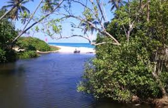 CEYLON BEACH & SAFARI EXPERIENCE