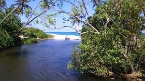 CEYLON BEACH & SAFARI EXPERIENCE  2
