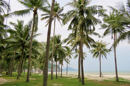 Explore Sam Roi Yod National Park and Praya Nakhon Cave