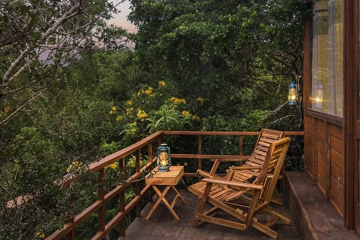 Private Leopard Nest Luxury Glamping Experience at Yala