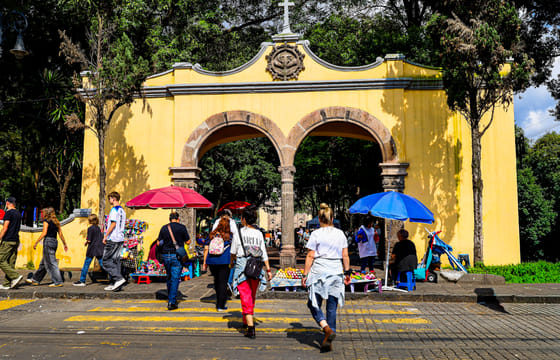 Culinary and Historical Walk in Coyoacan, Mexico City