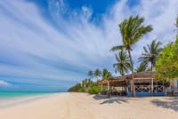 Zanzibar: Premium Transfer from Zanzibar Airport ⇋ Kiwengwa 10