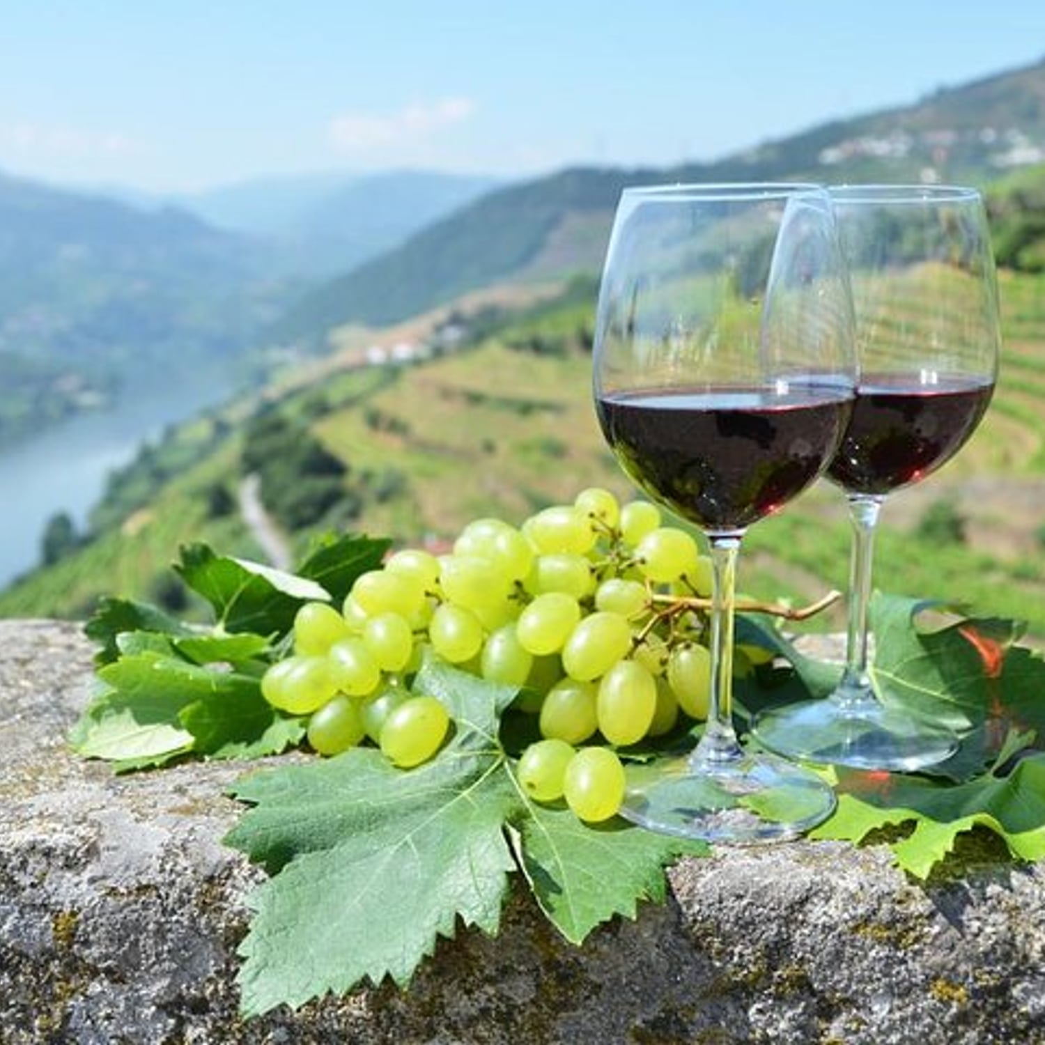 Douro e vinhos: visita privada do Porto