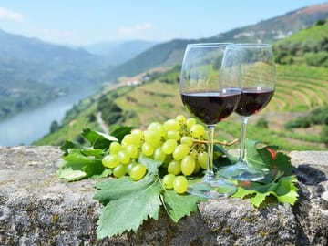 Douro Valley - Wine Tasting