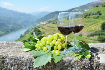 Private Tour From Porto: Douro Valley Wine Tour