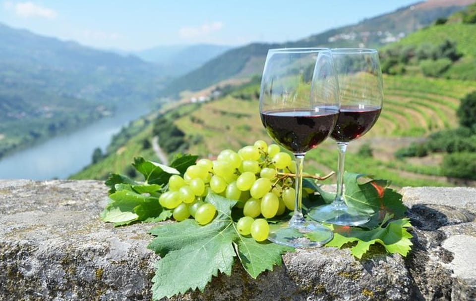 Private Tour From Porto: Douro Valley Wine Tour