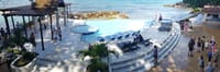 Dolphin Encounter in Dolphin Cove Ocho Rios  10