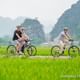 Small Group & Full Day Hoa Lu Tam Coc Mua Cave Tour( Full Inclusions )