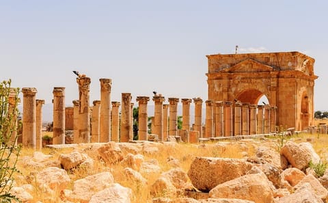 Private Half-Day Tour of Jerash from Amman