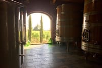 Winery Le Potazzine