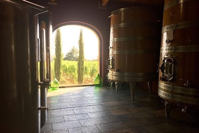 Winery Le Potazzine