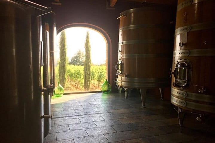 Winery Le Potazzine