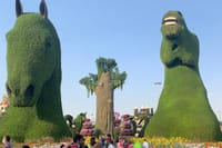 Miracle Garden Global Village with Transportation from Fujairah 1
