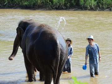 Hug Chang (Elephant) Chiangmai with Bamboo Rafting abd Long neck Tribe Village.