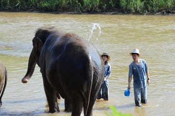 Hug Chang Elephant Experience and Long Neck Village Tour in Chiang Mai