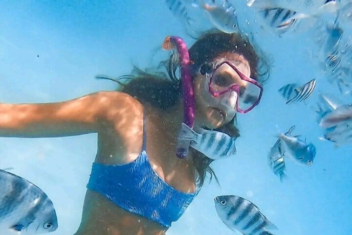 Zanzibar Jozani Forest Reserve Guided Half-Day Tour