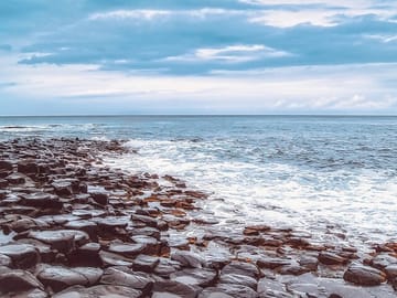 Giant's Causeway Day Trip from Belfast with Scenic Stops