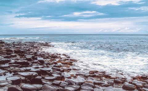 Giant's Causeway Day Trip from Belfast with Scenic Stops