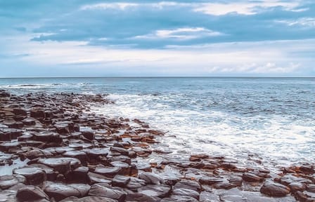 Giant's Causeway Day Trip from Belfast with Scenic Stops