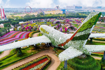Explore Dubai Miracle Garden and Butterfly Garden Tour