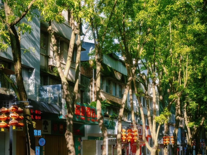 Huizhou: West Lake & Su Dongpo Private Day Trip