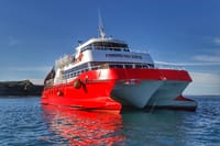 Half Day sailing to Magdlena Island Penguin Colony from Punta Arenas Season from October to March  4