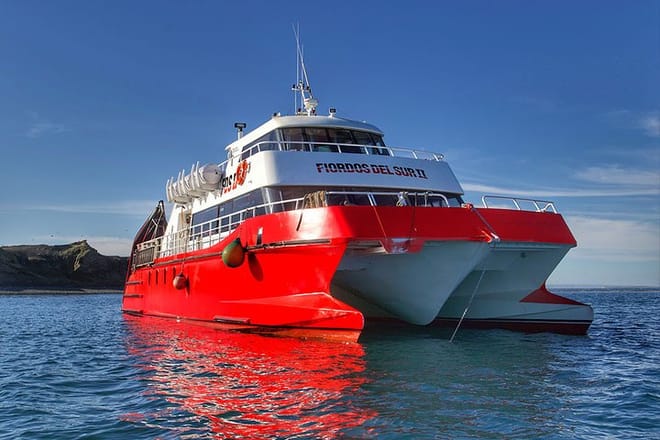 Half Day sailing to Magdlena Island Penguin Colony from Punta Arenas Season from October to March  4