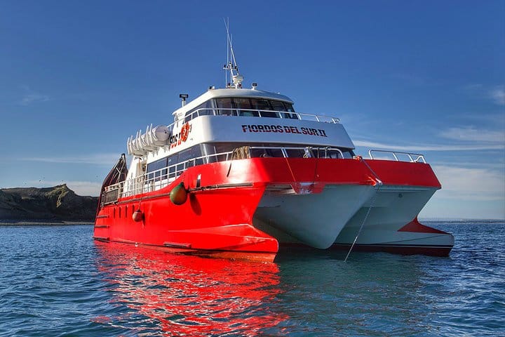 Half Day sailing to Magdlena Island Penguin Colony from Punta Arenas Season from October to March  4