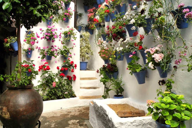 Guided Tour to the Popular Patios of Cordoba photo 3
