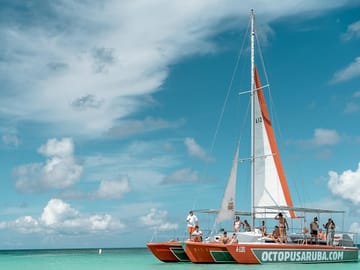 Octopus Aruba Private Sailing trips up to 45 people