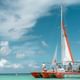 Octopus Aruba Private Sailing trips up to 45 people
