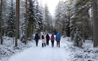 Winter Wonderland Hike in a National Park 10