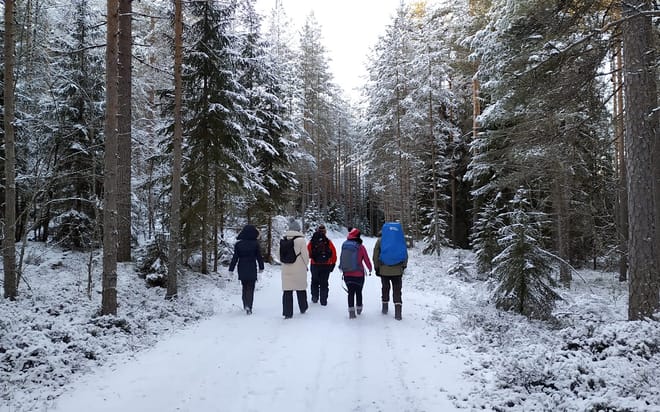 Winter Wonderland Hike in a National Park 10